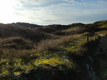 Oostnieuwkerke duinen wandeling in de koude (België)